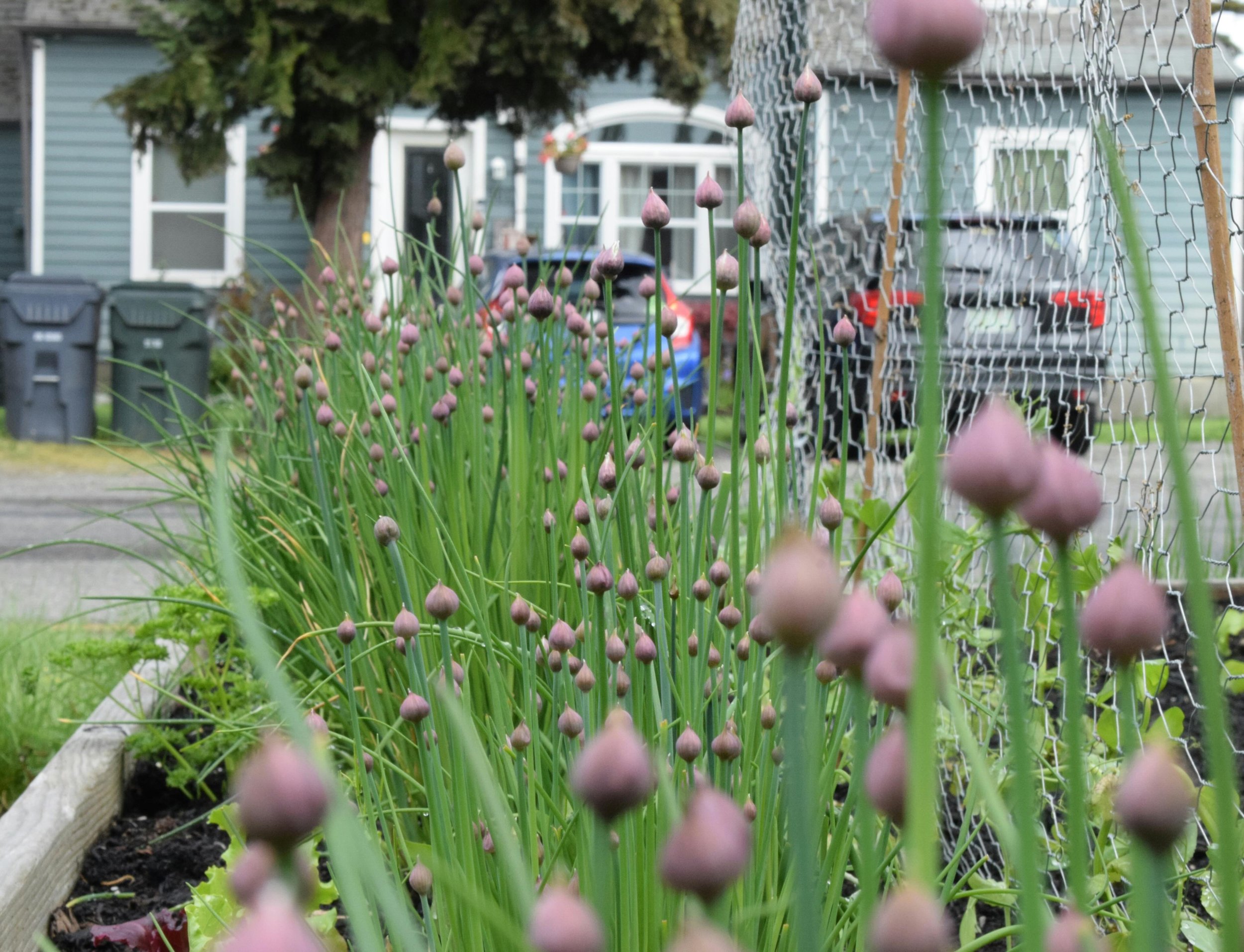 🌿 Is your lawn working as hard as it could be?

Todd Breitenstein &mdash; The Grateful Gardener &mdash; is bringing his fan-favorite talk &ldquo;Goodbye Lawn: Lawn Reduction &amp; Garden Bed Creation Techniques&rdquo; to two upcoming events on the S