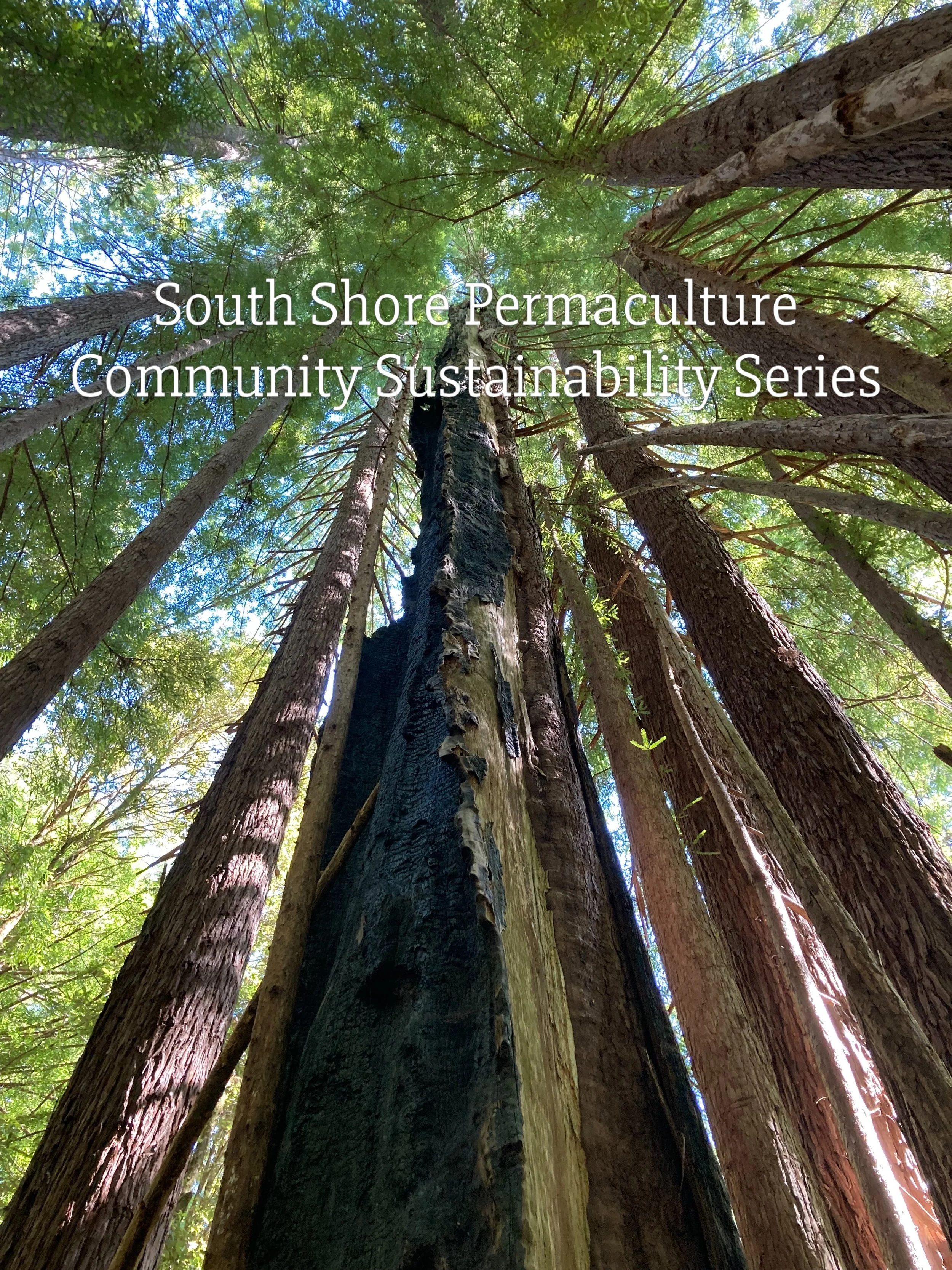 📢 Introducing our new Sustainability Series!
Starting this August, we&rsquo;re gathering together monthly for potluck dinners &amp; a movie, and for quiet evenings over a good book.
🍿Potluck &amp; Movie Nights: Every other month, Saturdays at First