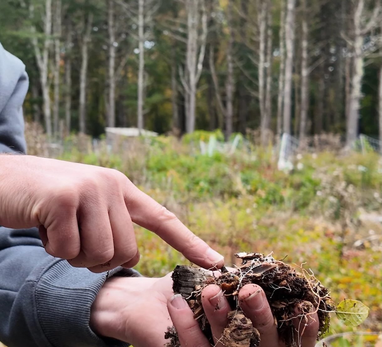&ldquo;With The Amount Of Species That Live In A Teaspoon Of Dirt, I Think It&rsquo;s Very Obvious Dirt Might Be More Alive Than We Are.&rdquo;
- Gary Vaynerchuk Founder, Wine Library

August&rsquo;s documentary in our potluck and movie night sustain