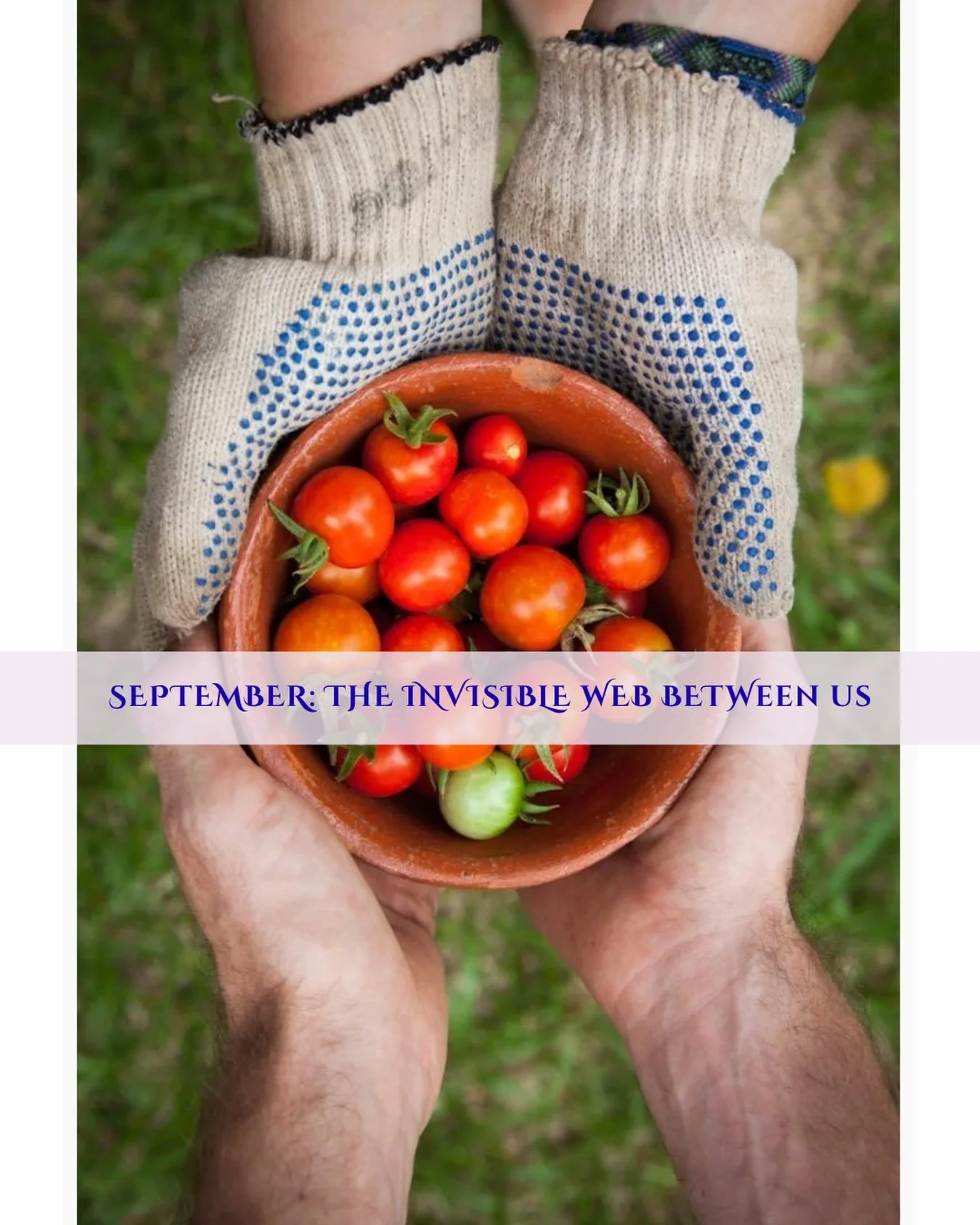In this month&rsquo;s Pondering Permie, we explore community: the connection (both hidden and seen) between all of us, and how we tend it.

&ldquo;Community doesn&rsquo;t require agreement. It asks something harder of us.

To show up. To listen. To b