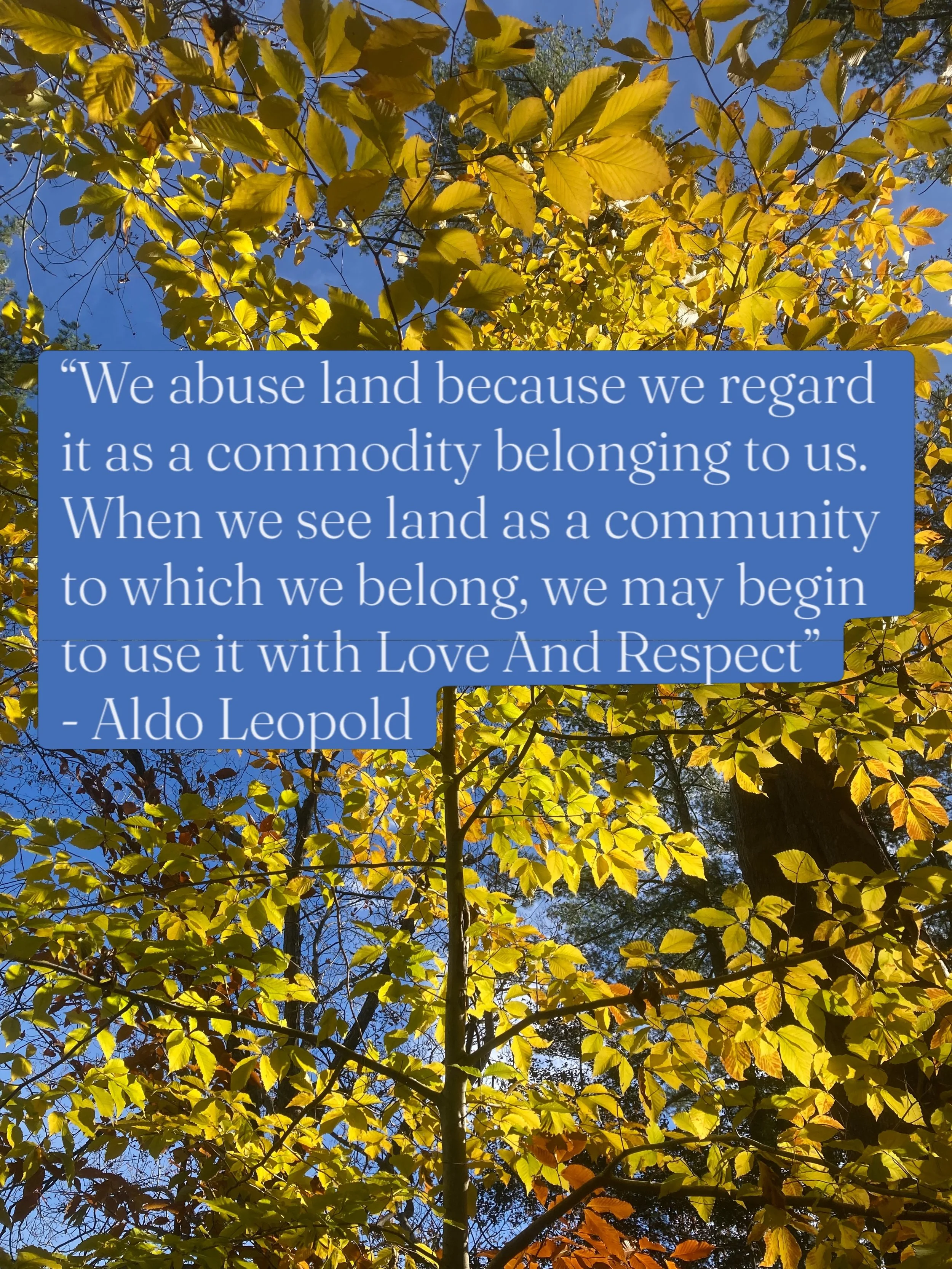 Our next Sustainability Book Club meets one month from today - Tuesday, November 17th at 7pm at Weymouth&rsquo;s Fogg Library. That&rsquo;s still plenty of time to read this month&rsquo;s selection, &lsquo;A Sand County Almanac&rsquo;, by Aldo Leopol