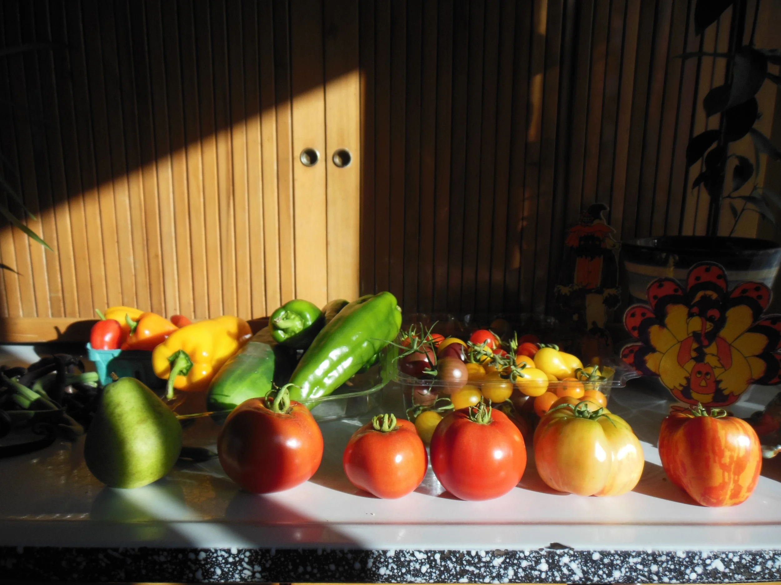 Grow abundant vegetables in your garden