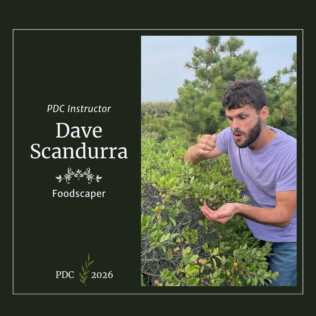 2026 Permaculture Design Course Instructor Dave Scandurra