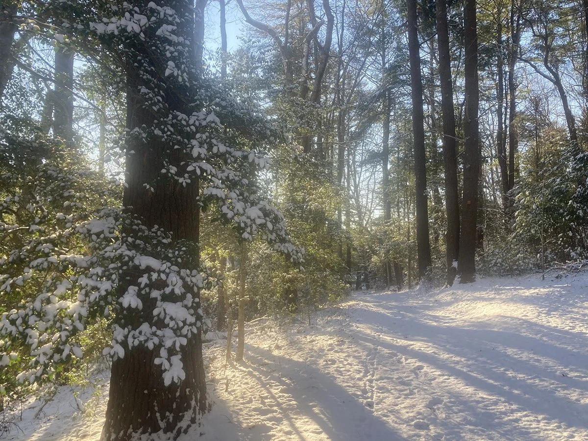 Obtain a Yield Permaculture Winter