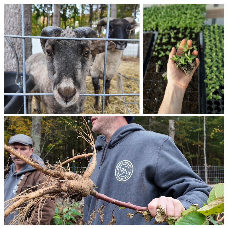 Duxbury Earth Day Fest.png