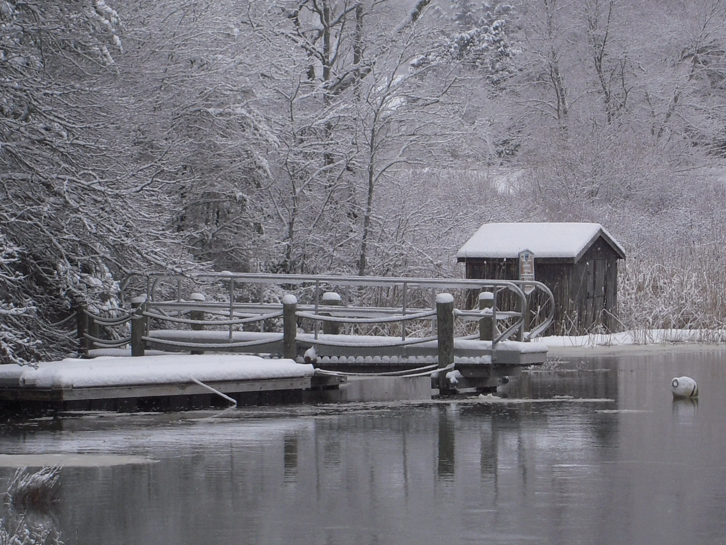 Permaculture Principles for Winter