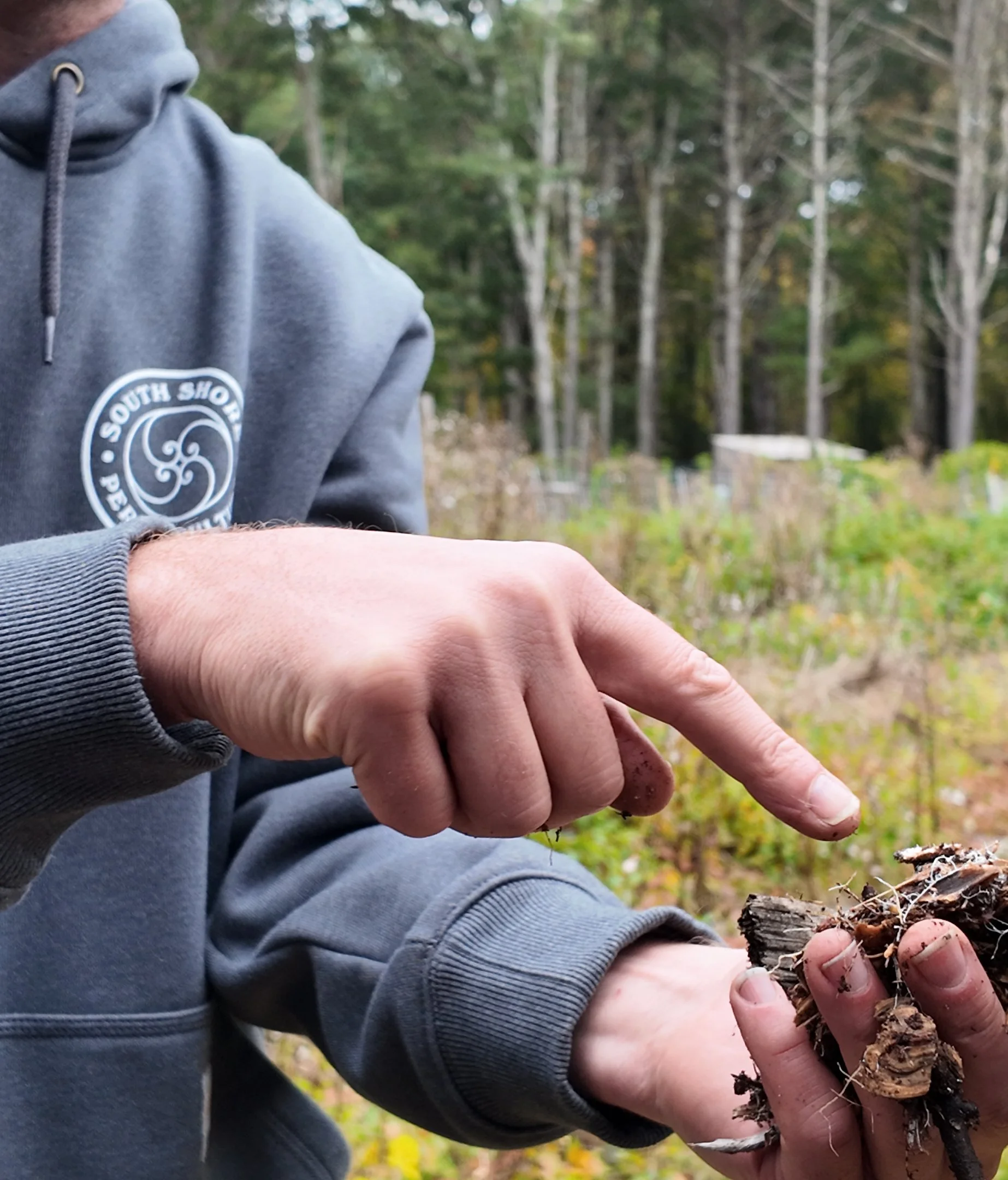 SSP Logo and holding soil copy.jpg