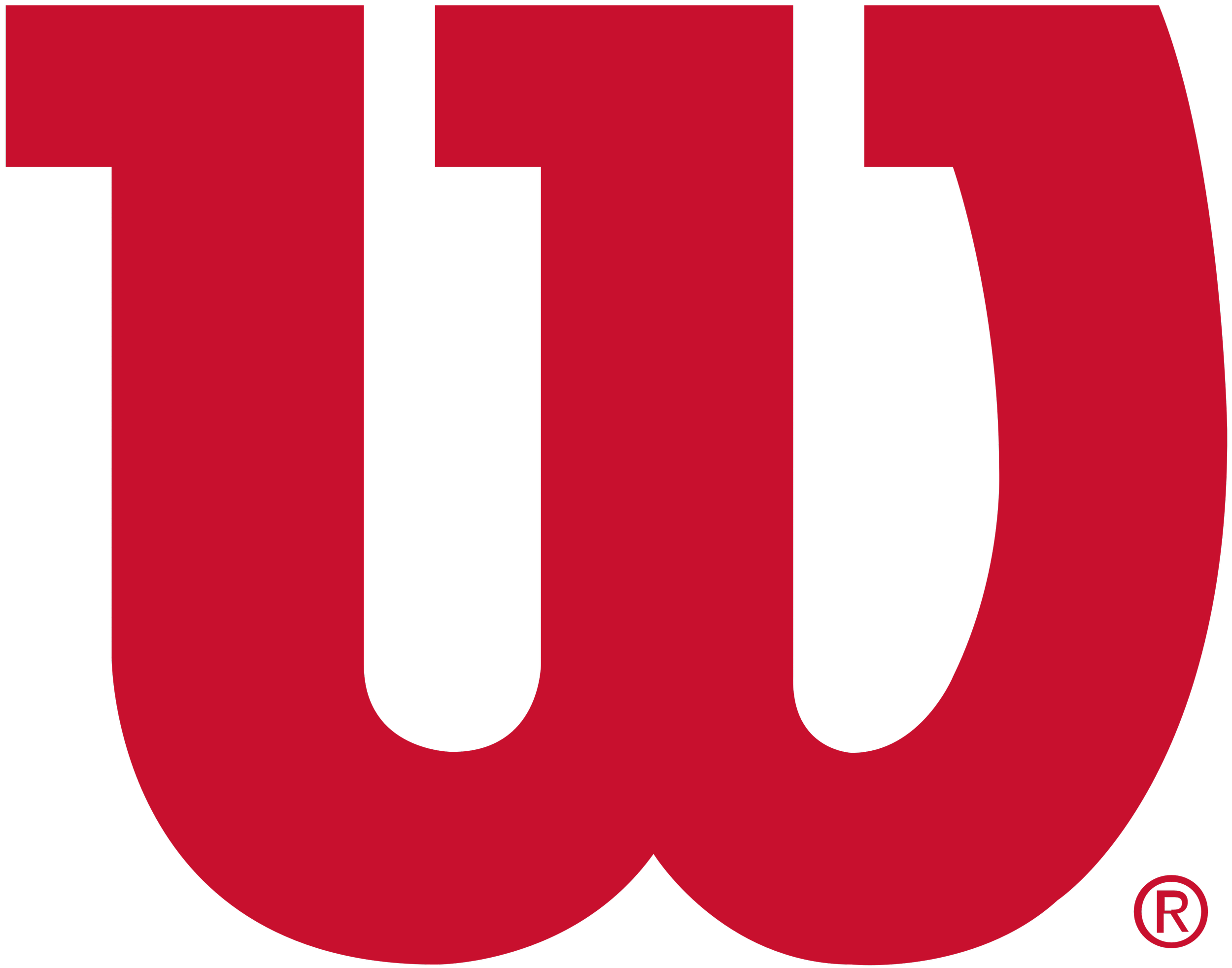 Wilson_logo_W.png