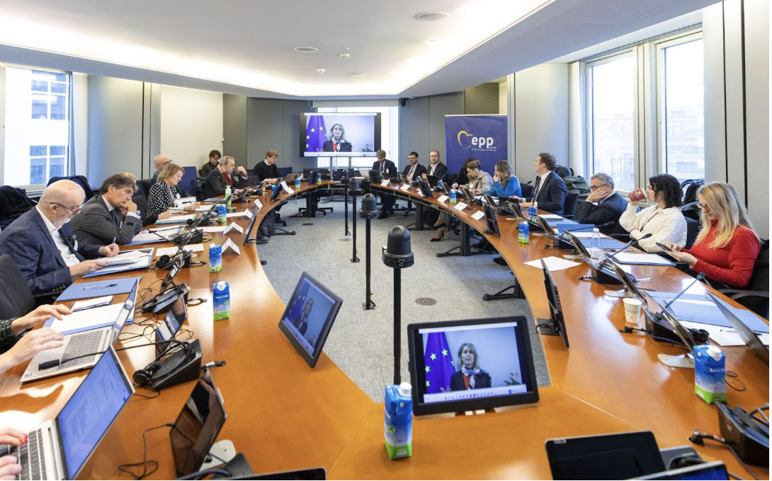 PAREA at the European Parliament launch of Headway Mental Health Index 5.0