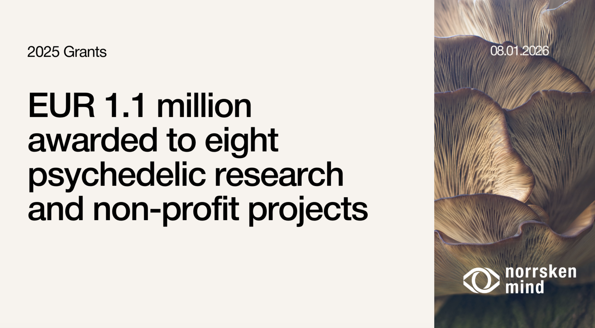 Norrsken Mind awards EUR 1.1 million to support research &amp; implementation of psychedelic therapies