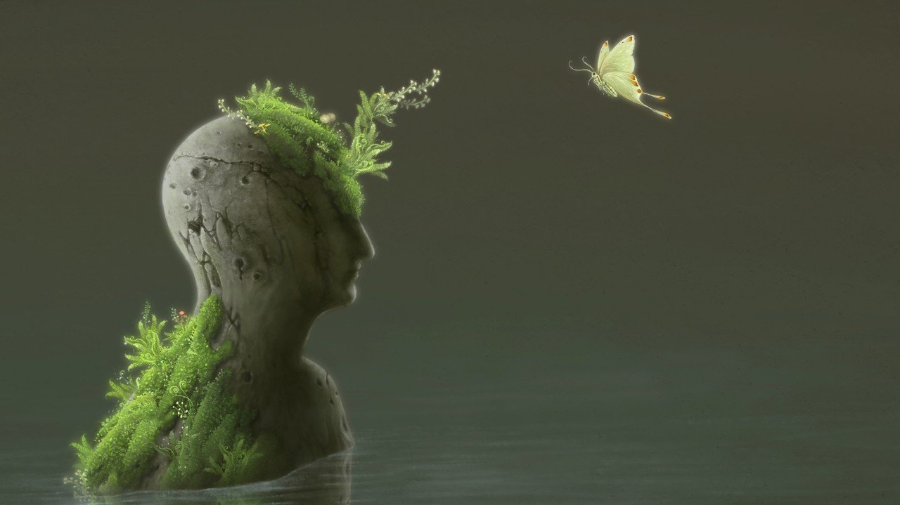 Where PAREA is heading: from psychedelic to experiential treatments