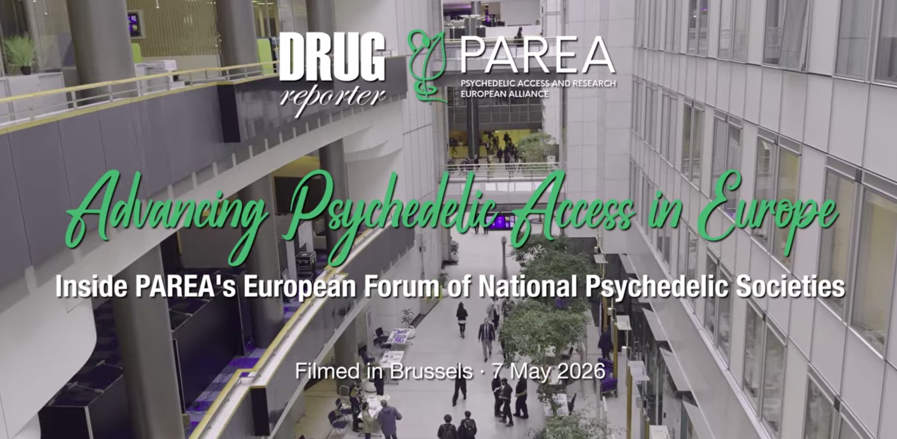 Recording is live! Inside PAREA's European forum of national psychedelic societies