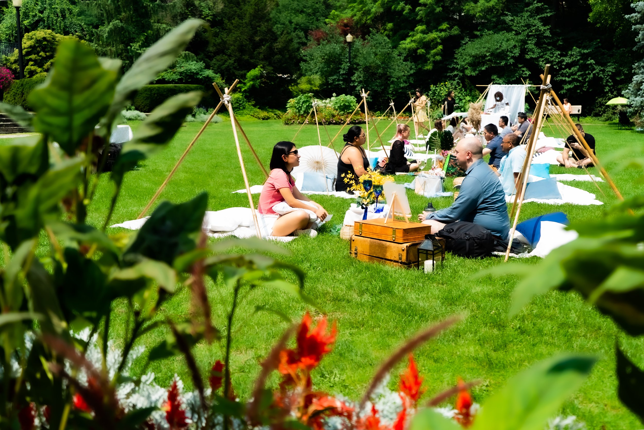 Toronto Dating Hub - International Picnic Day Singles Mixer