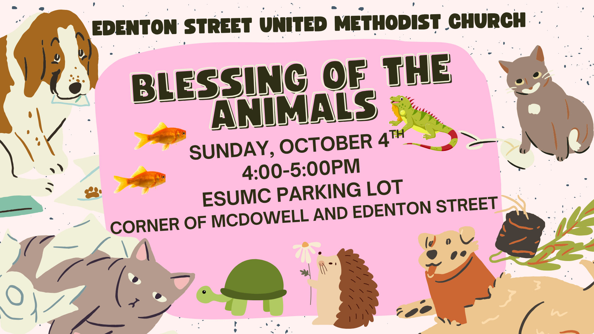 Blessing of the Animals