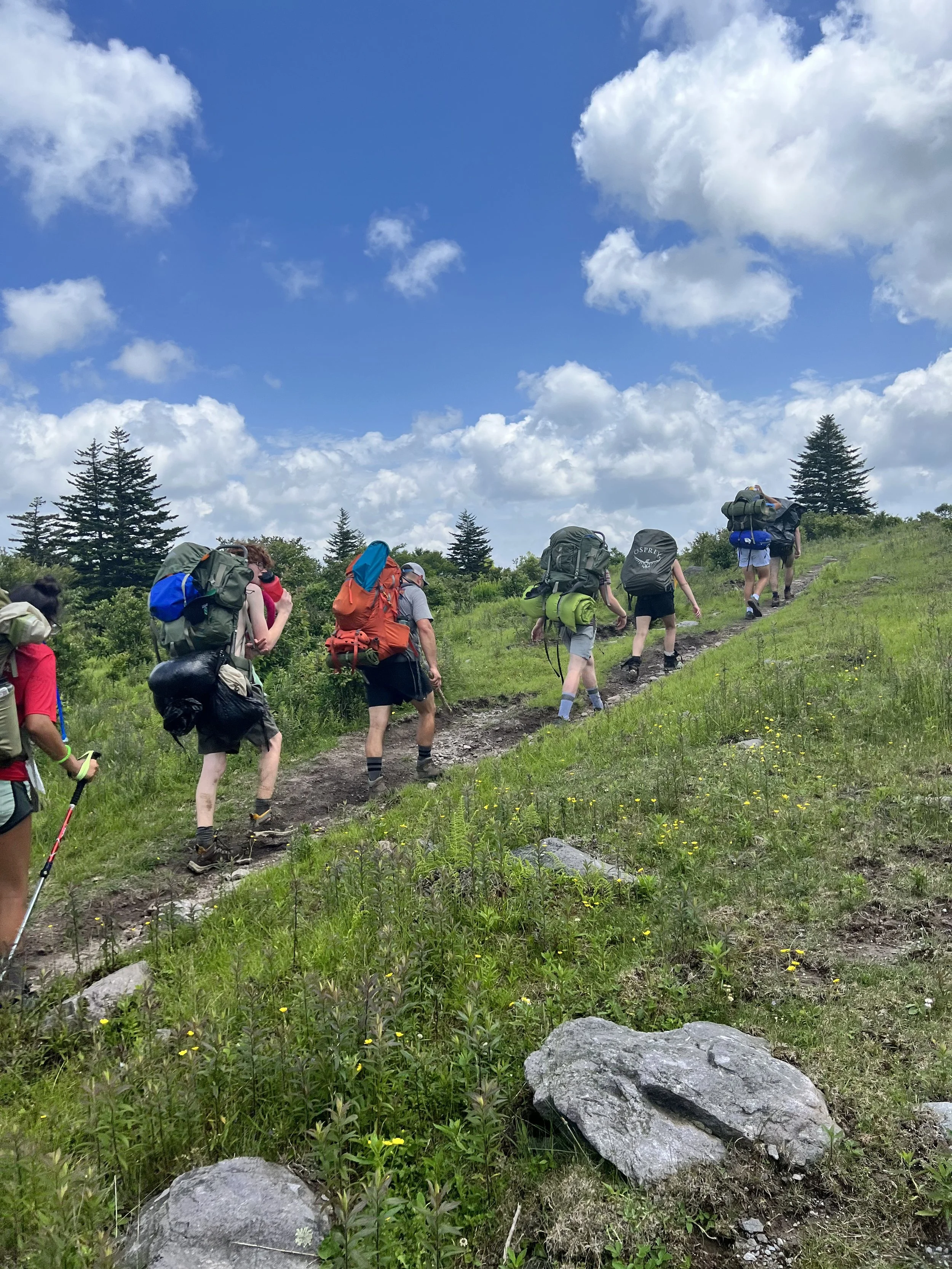 Group of hikers with backpacks climbing a grassy hillside under a blue sky with clouds.