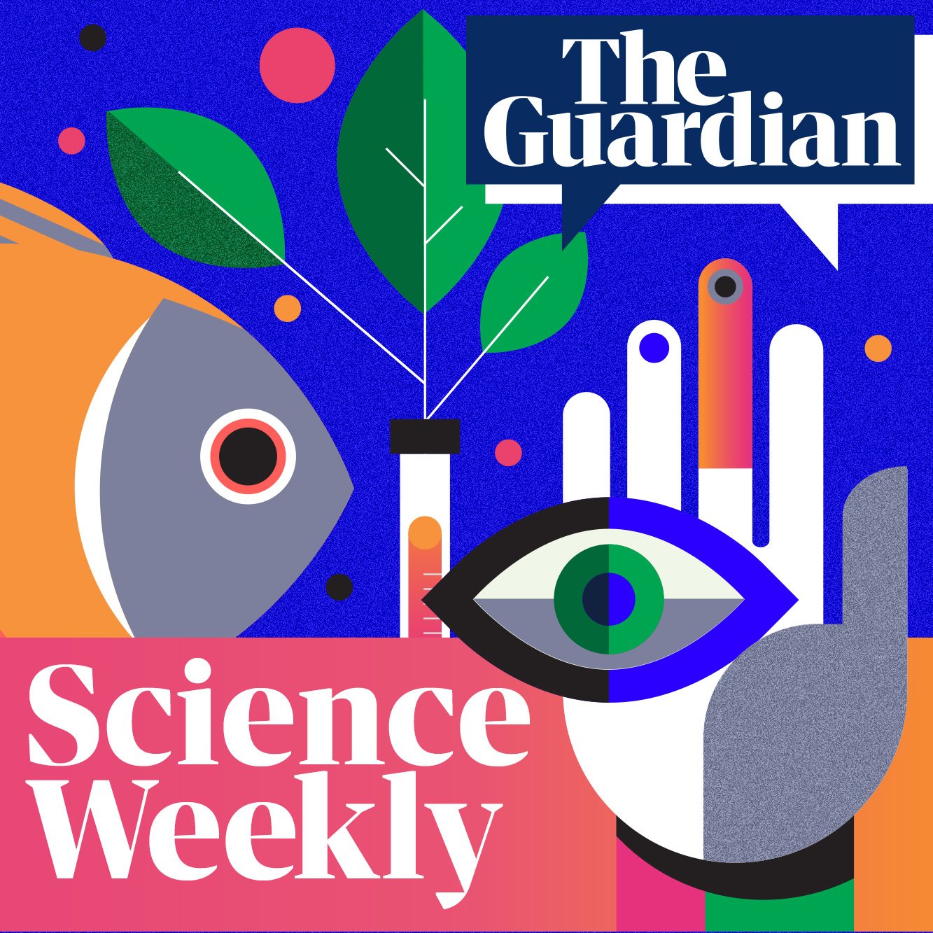 Podcast Idents:
