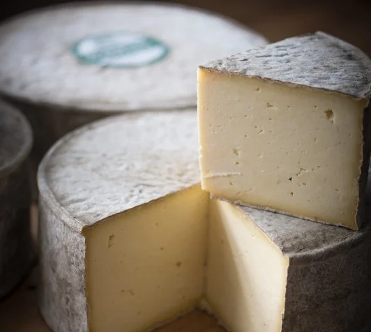 Gorwydd Caerphilly wins Best British Cheese at World Cheese Awards 2021