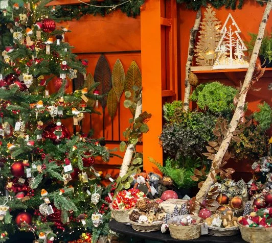 Brimsmore Gardens wins national competition with consciously constructed Christmas displays