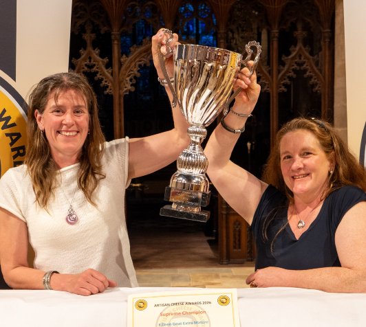 Goat’s cheese from Co. Galway named Supreme Champion at Artisan Cheese Awards