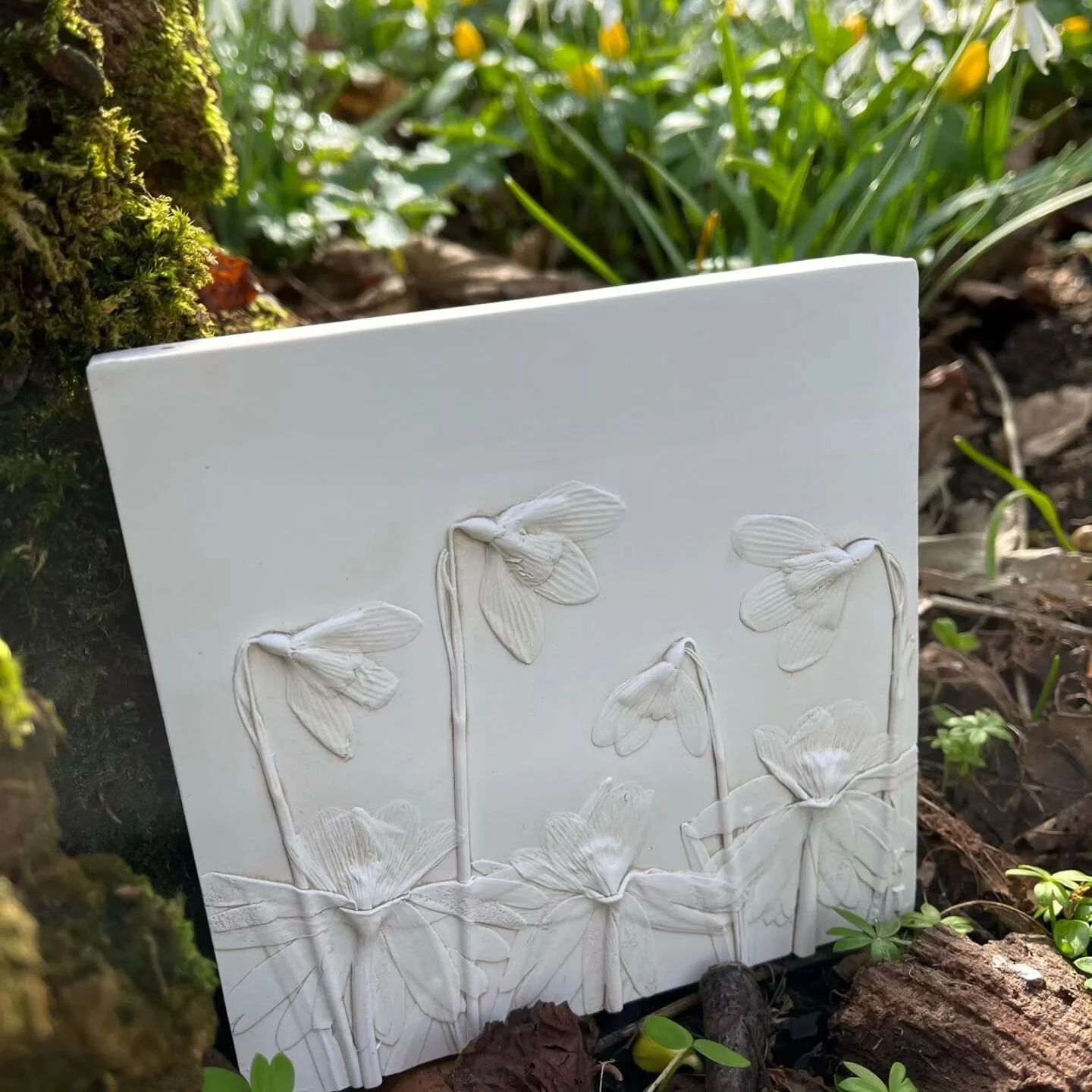 Our second guest this month is K T Designs. 
#thecraftersguestspot #art #thecraftersmelrose #plaster #natural #ktdesigns