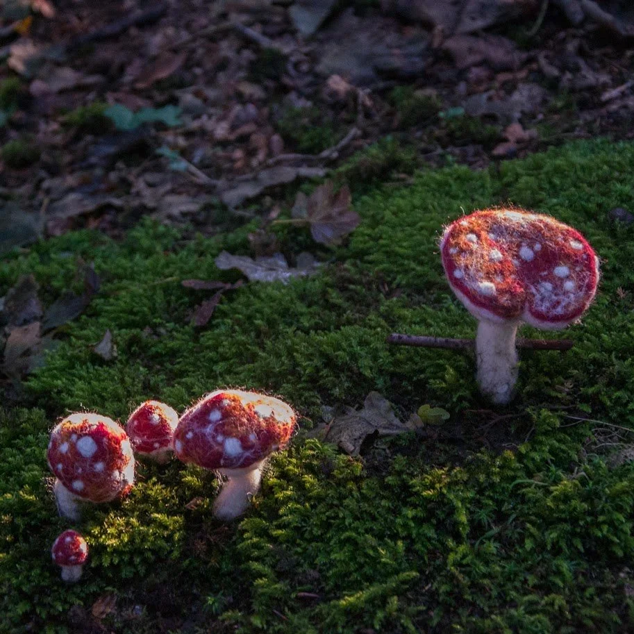 Felt toadstool.jpeg