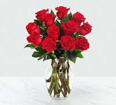 Valentine’s Day Dozen Roses