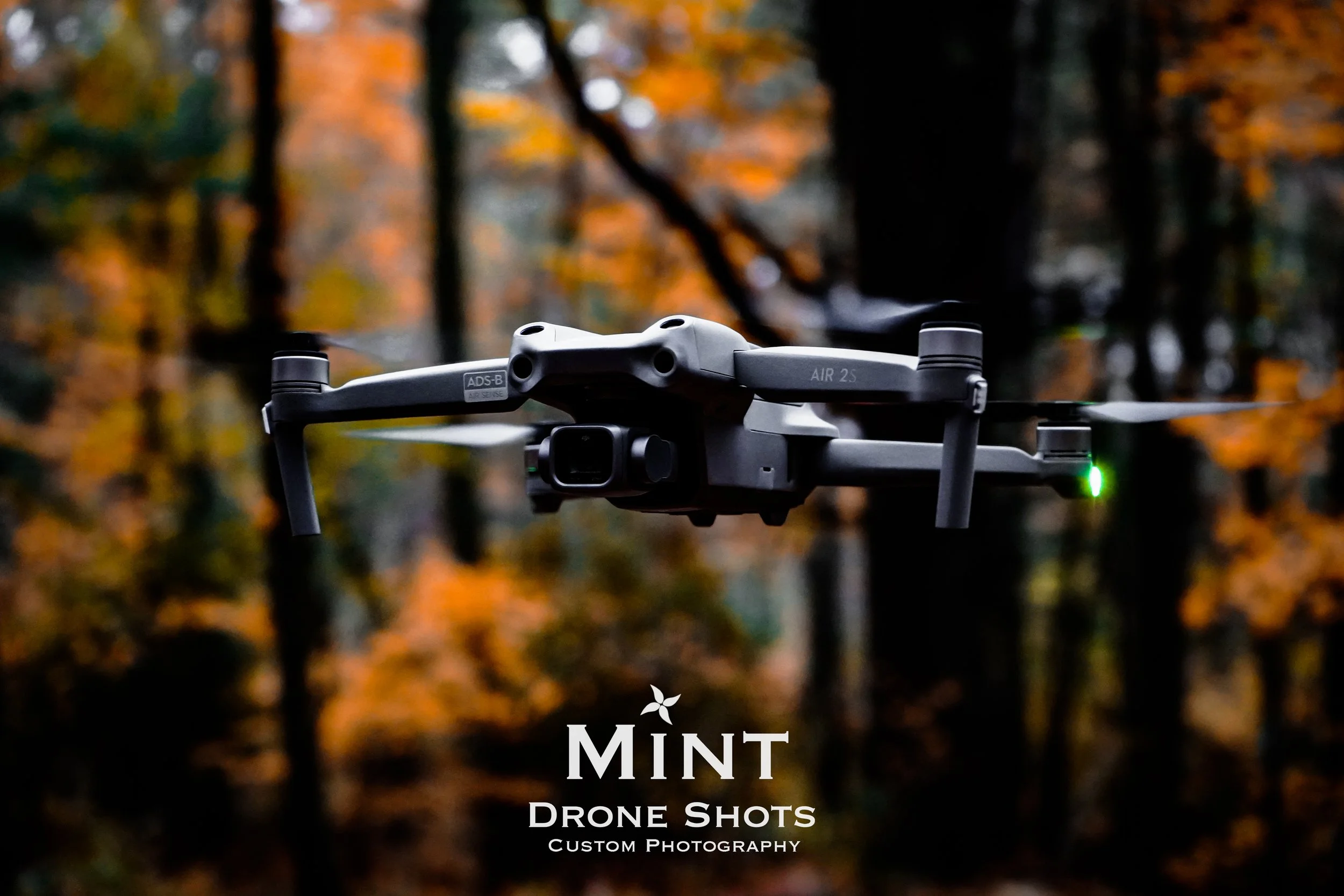 Drone flying in a forest with autumn-colored foliage, Mint Drone Shots logo at the bottom.