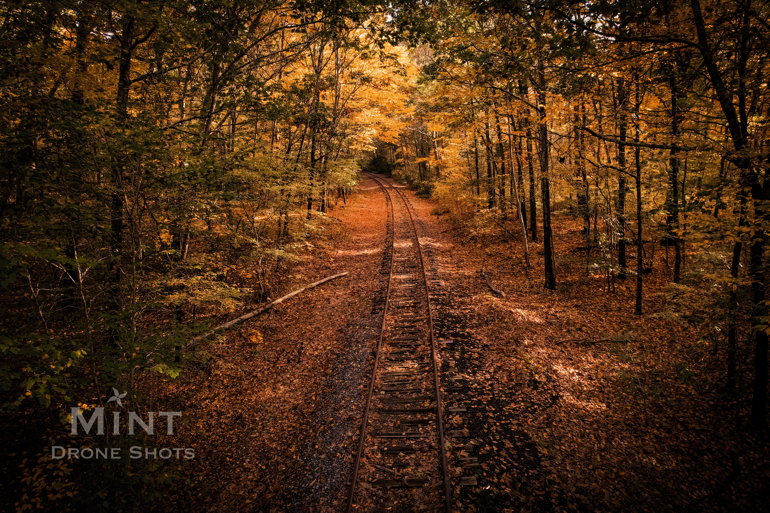 Aerial view of train tracks surrounded by autumn trees with orange and yellow leaves, taken by Mint Drone Shots.