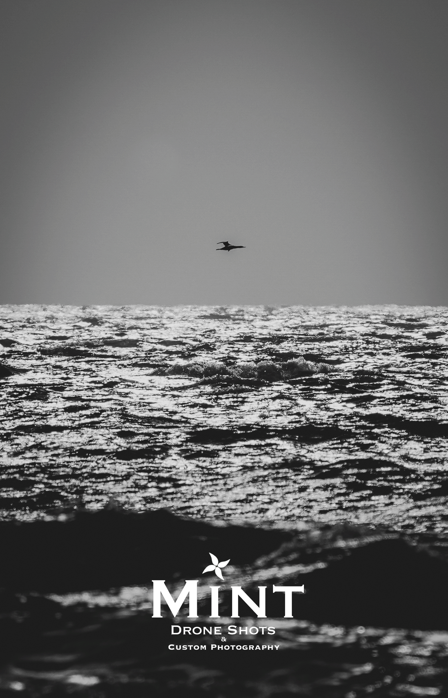 Silhouette of a bird flying over sparkling ocean waves with Mint Drone Shots logo at the bottom.