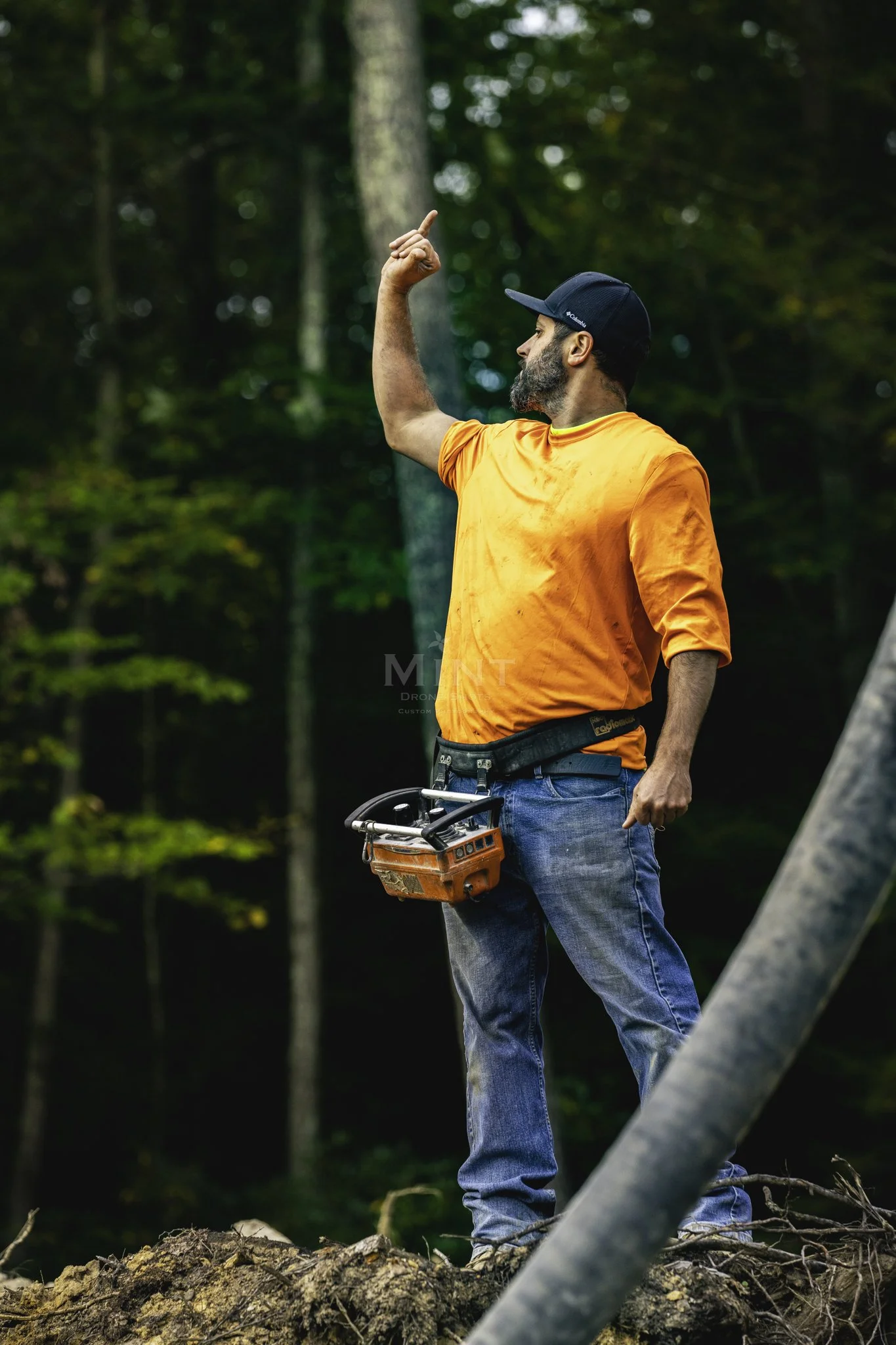 Man in an orange shirt and cap pointing upward in a forest with a chainsaw attached to his belt.