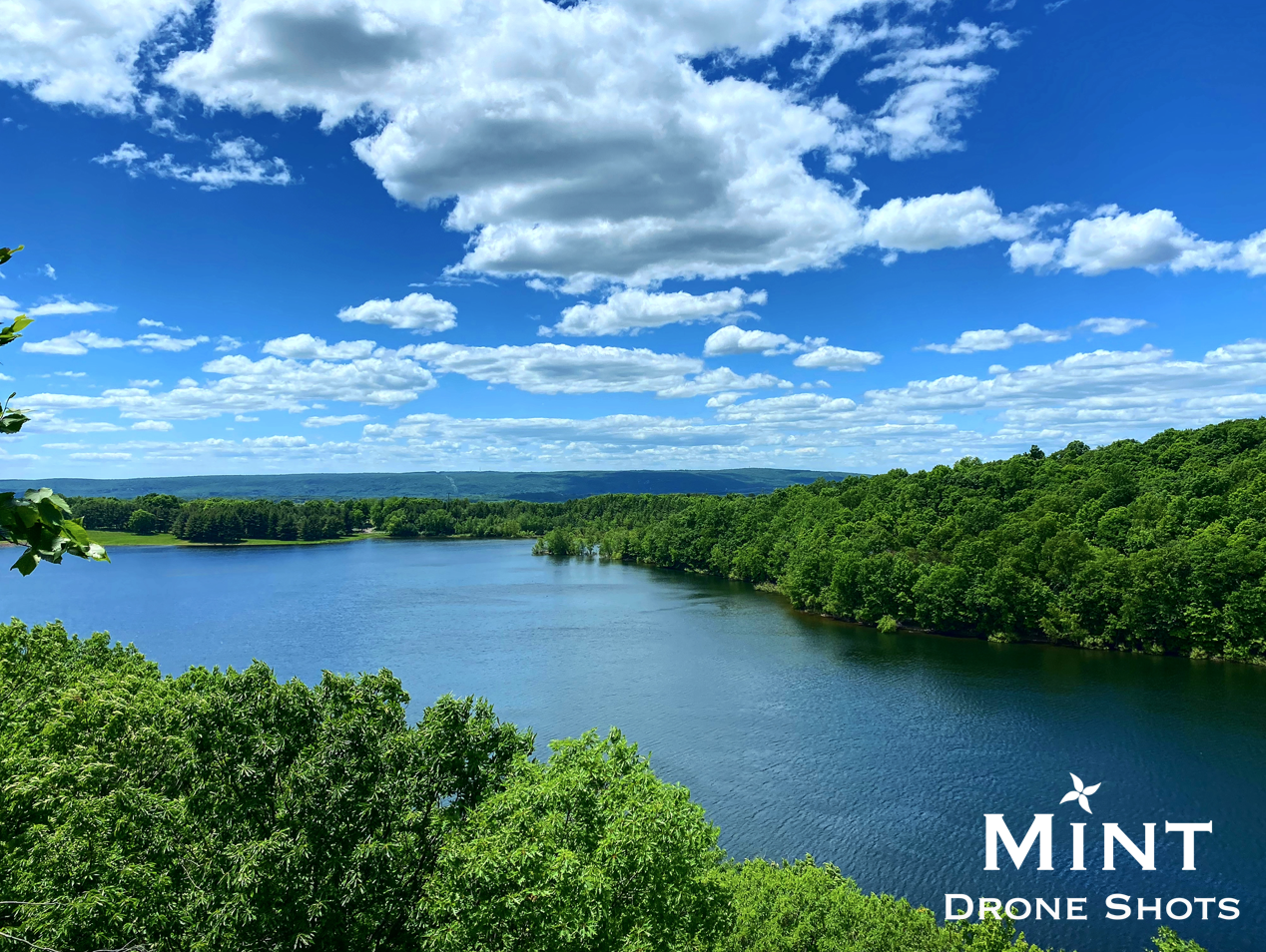 Aerial view of a river surrounded by lush green trees under a partly cloudy blue sky.