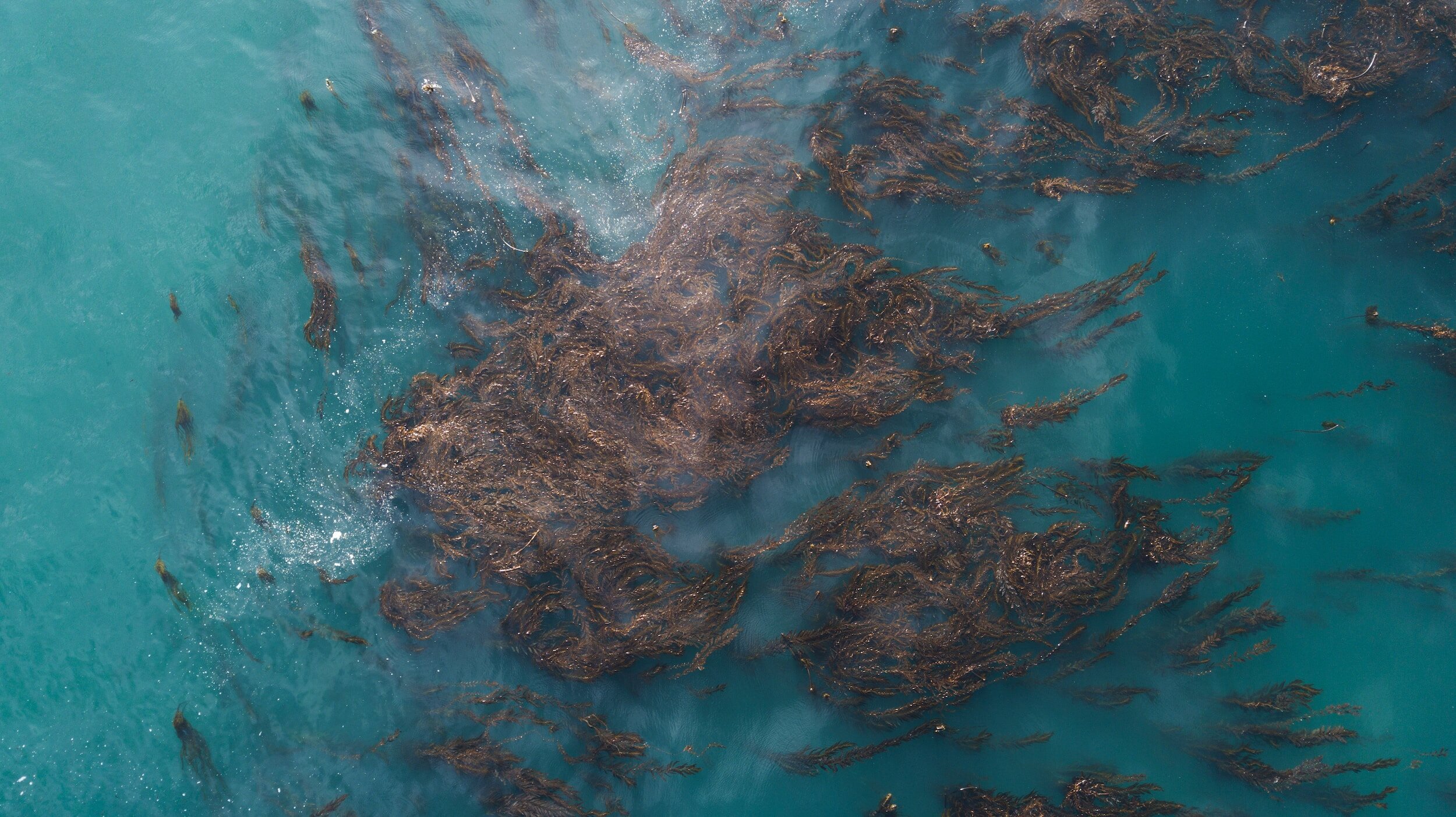 Transforming Scilly seaweed and sand into glass