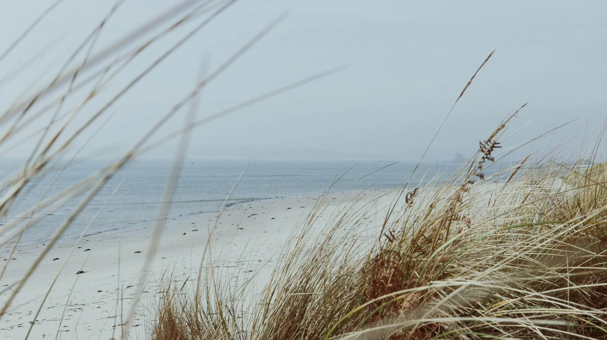 Join us as our new part-time Volunteer Co-ordinator