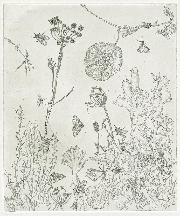 The Collected Uncollected.jpg