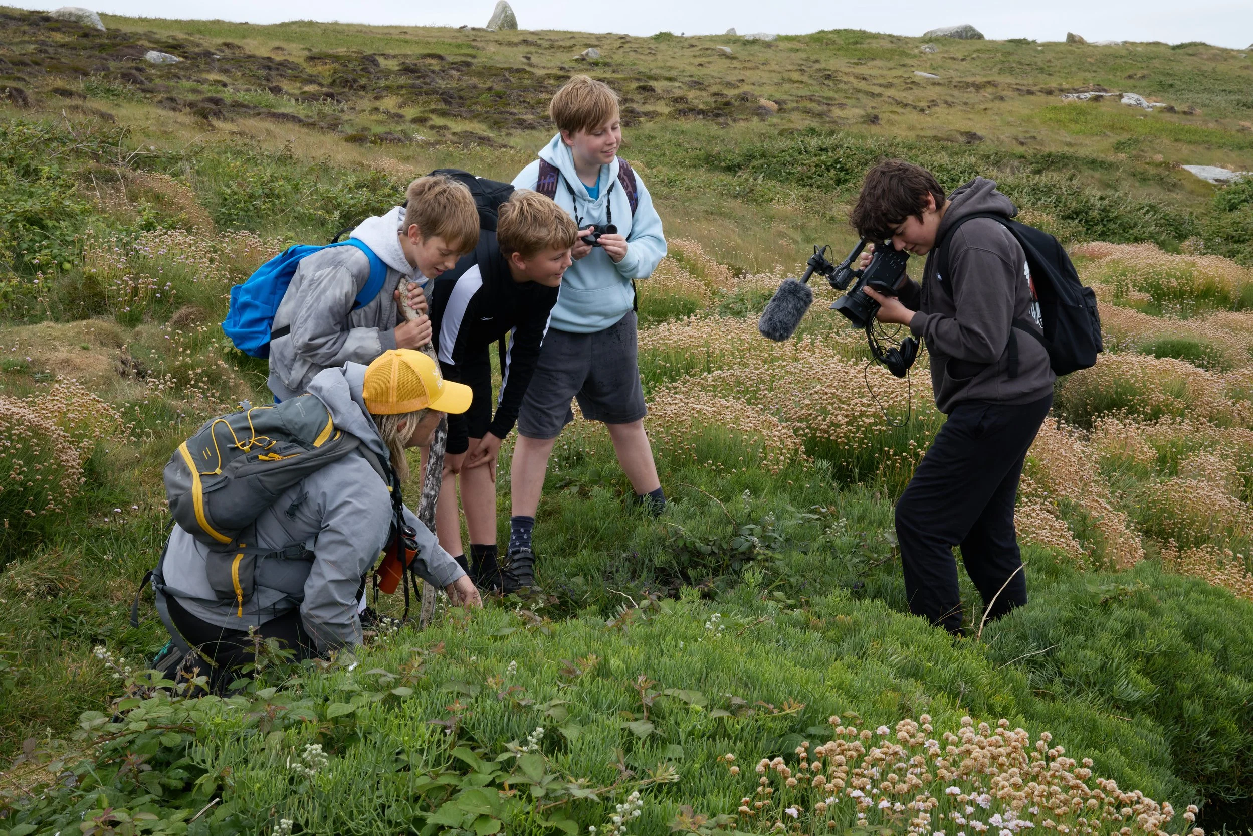 The Greatest Gull - our first major exhibition - opens this summer