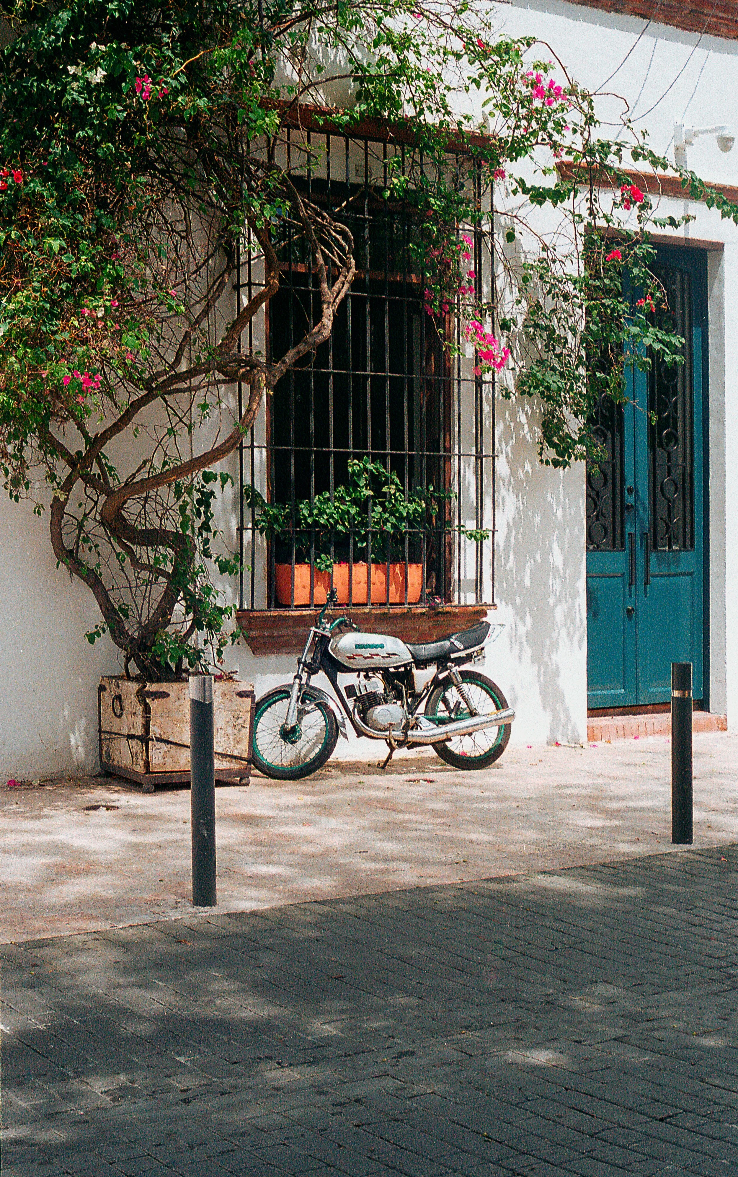 Dominican Steet - Insta.jpg