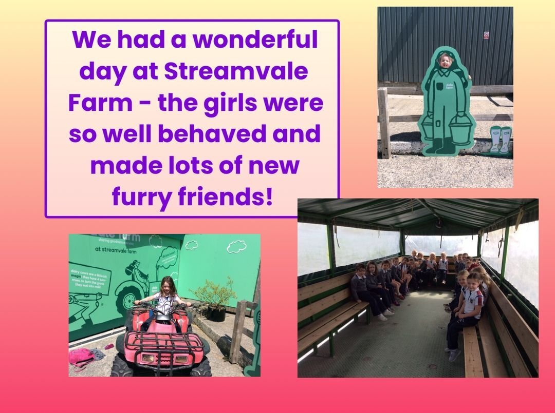 P2 visit Streamvale Farm