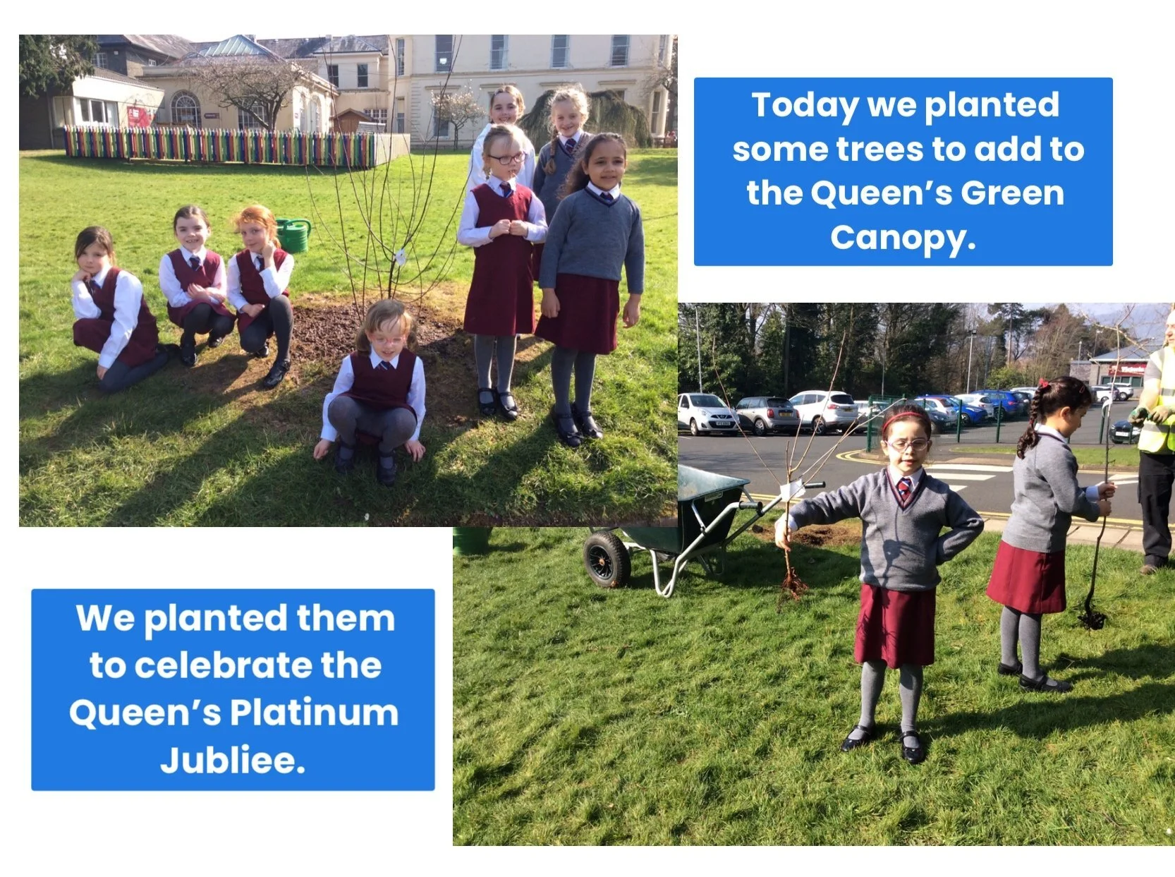 Queen's Green Canopy