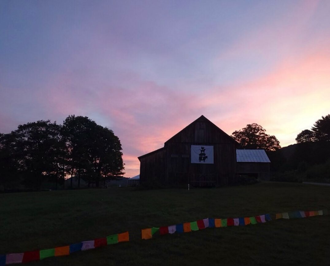 @milldalefarm is looking incredible, all we are missing is YOU! 
✨
See you all tomorrow! 
Can&rsquo;t wait!