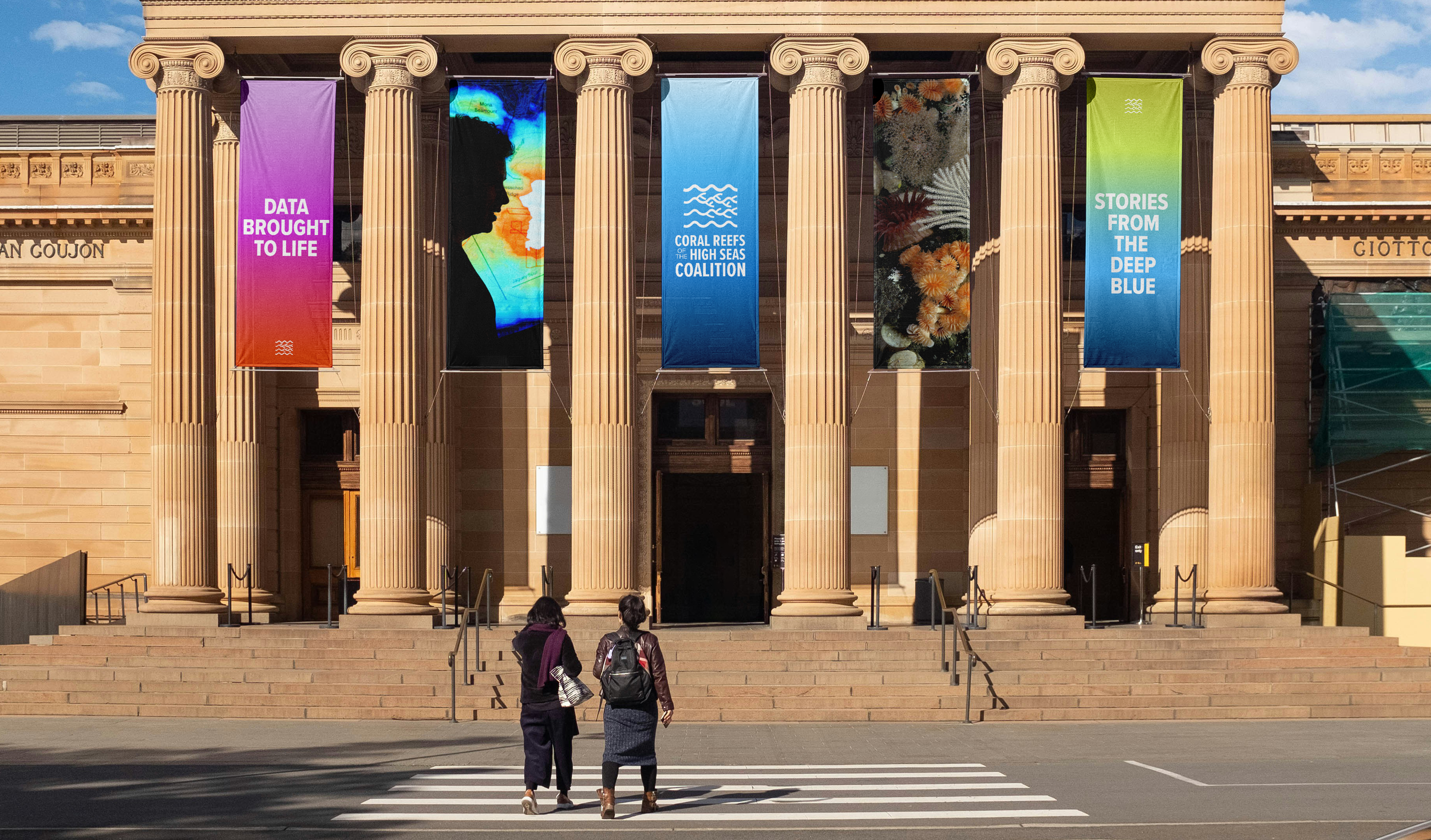 Coral Reef of the High Seas
