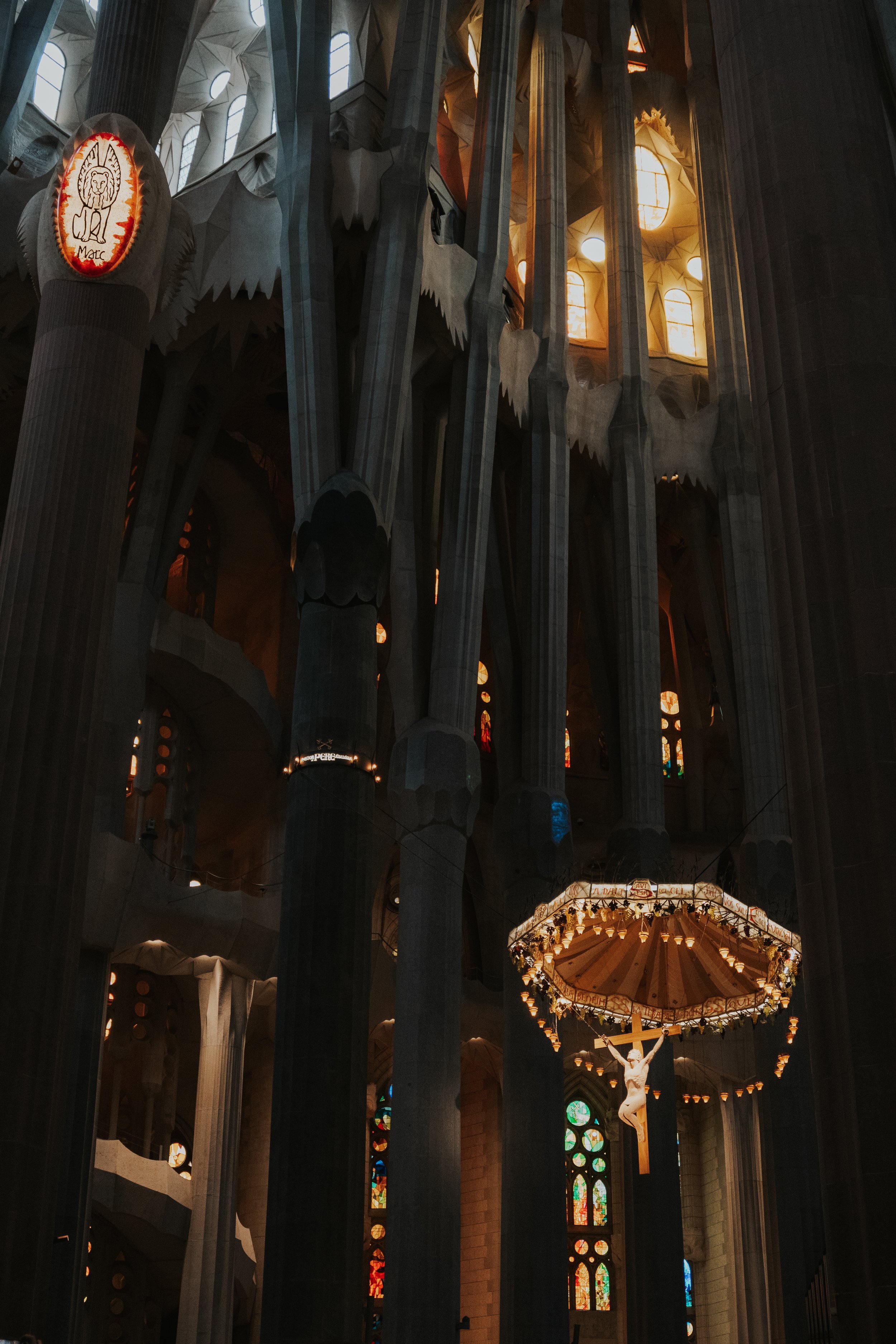 DSC02364.jpg