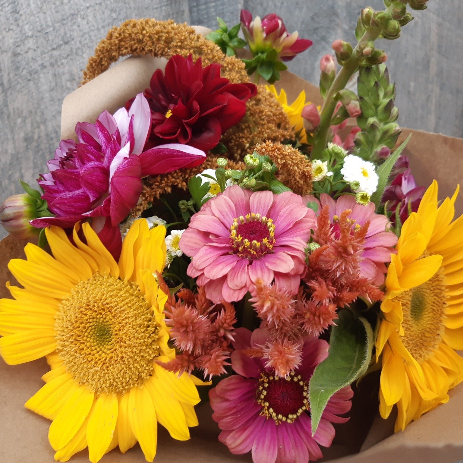Wondering what the Full Season of Flowers subscription looks like?
If you love fresh local flowers, you’ll want them in your home all season long! With the full season of flowers, you’ll receive the spring, summer (5 or 10 bouquet optio