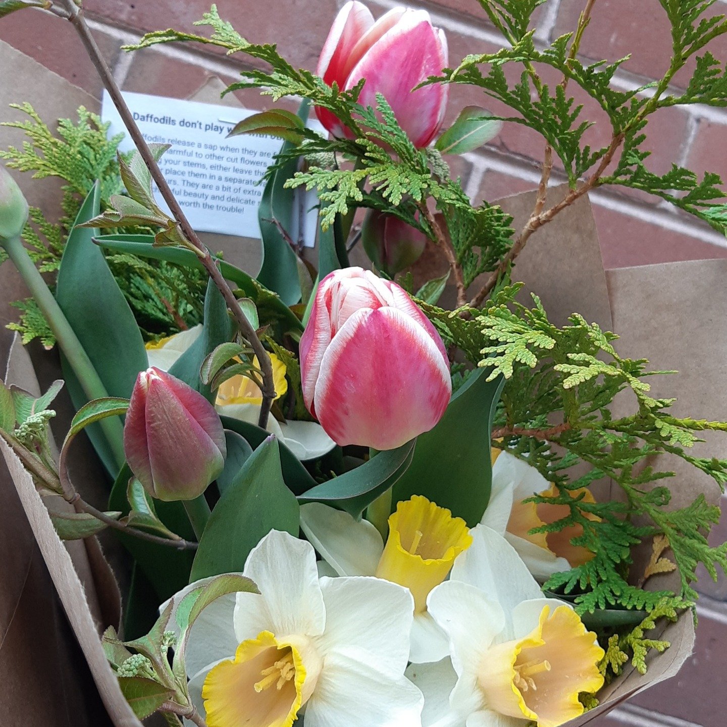 Get a jump on your Mother's Day plans - Order your Mother's day blooms today and check it off your list!
🌷Spring Bouquet Subscription - order through my website
🌷Mother's Day Bouquet - order through my website
🌷Tulip Bouquet - available at the Dow