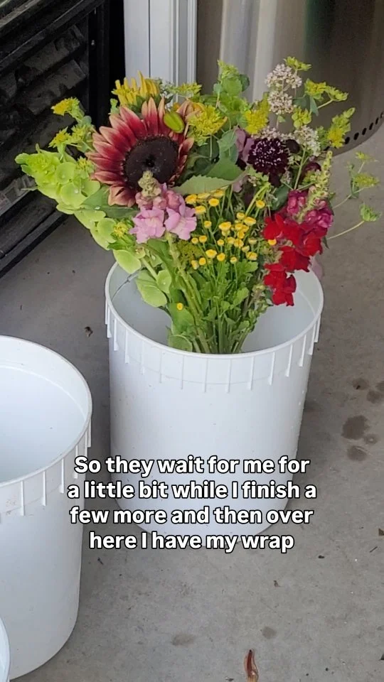 A behind the scenes look at bouquet building - making the most of my small space!
#localflowers #flowerfarmer #flowersubscription #freshflowers #farmerflorist #cutflowers #peterboroughontario