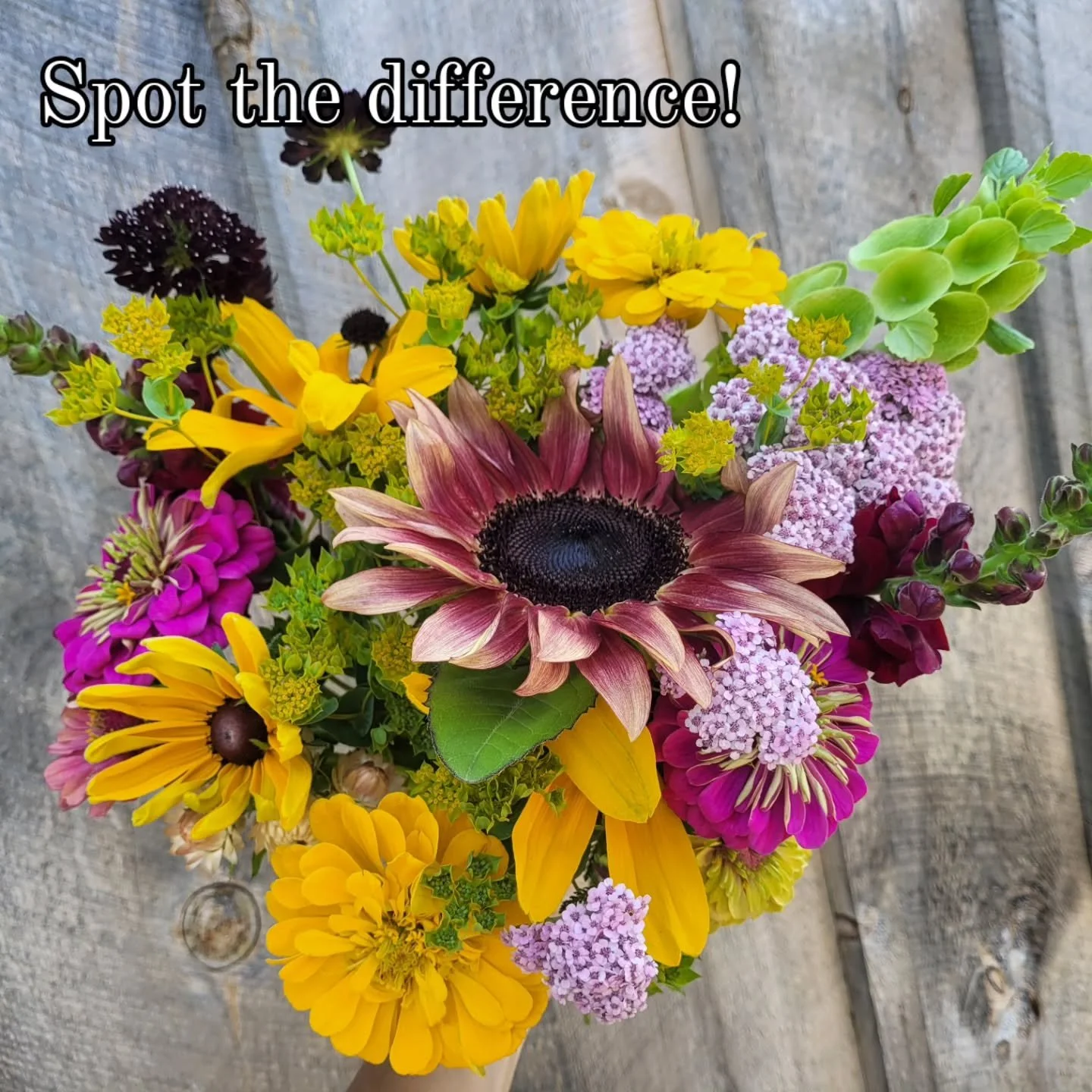 These two subscription bouquets are the same, except for one element! Can you spot the difference? And which do you like better?