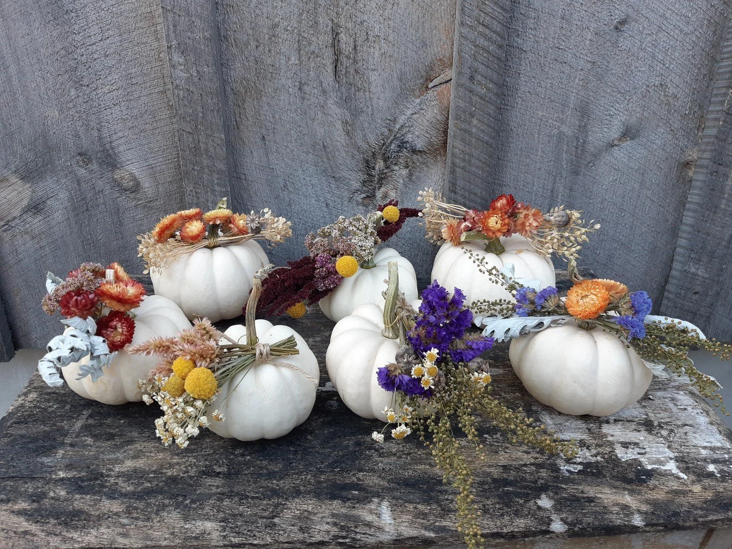 Thanksgiving Floral Pumpkins & Bouquets - available for pre-order with pickup on Thanksgiving weekend!