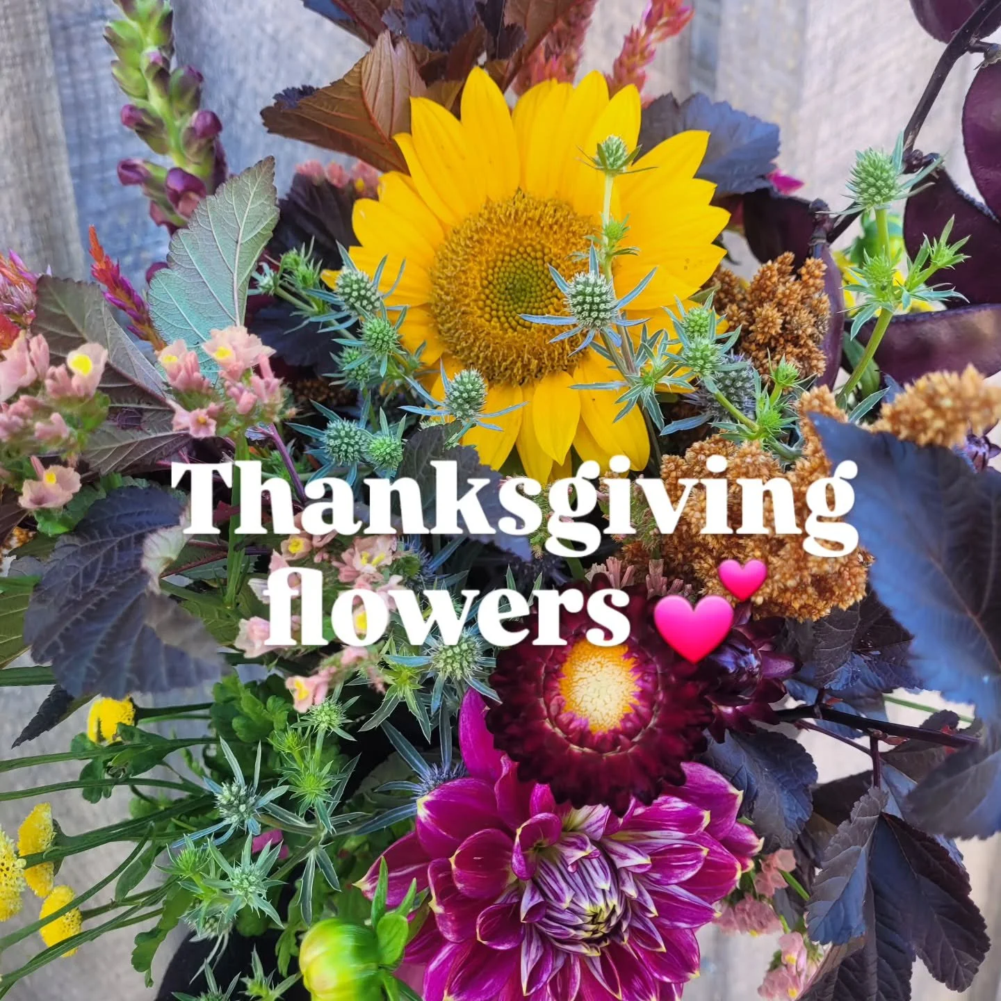 It's always a bit stressful with frost arriving, but the Thanksgiving flowers are looking amazing!
Thank you to all of you who ordered blooms for your weekend celebrations 💕