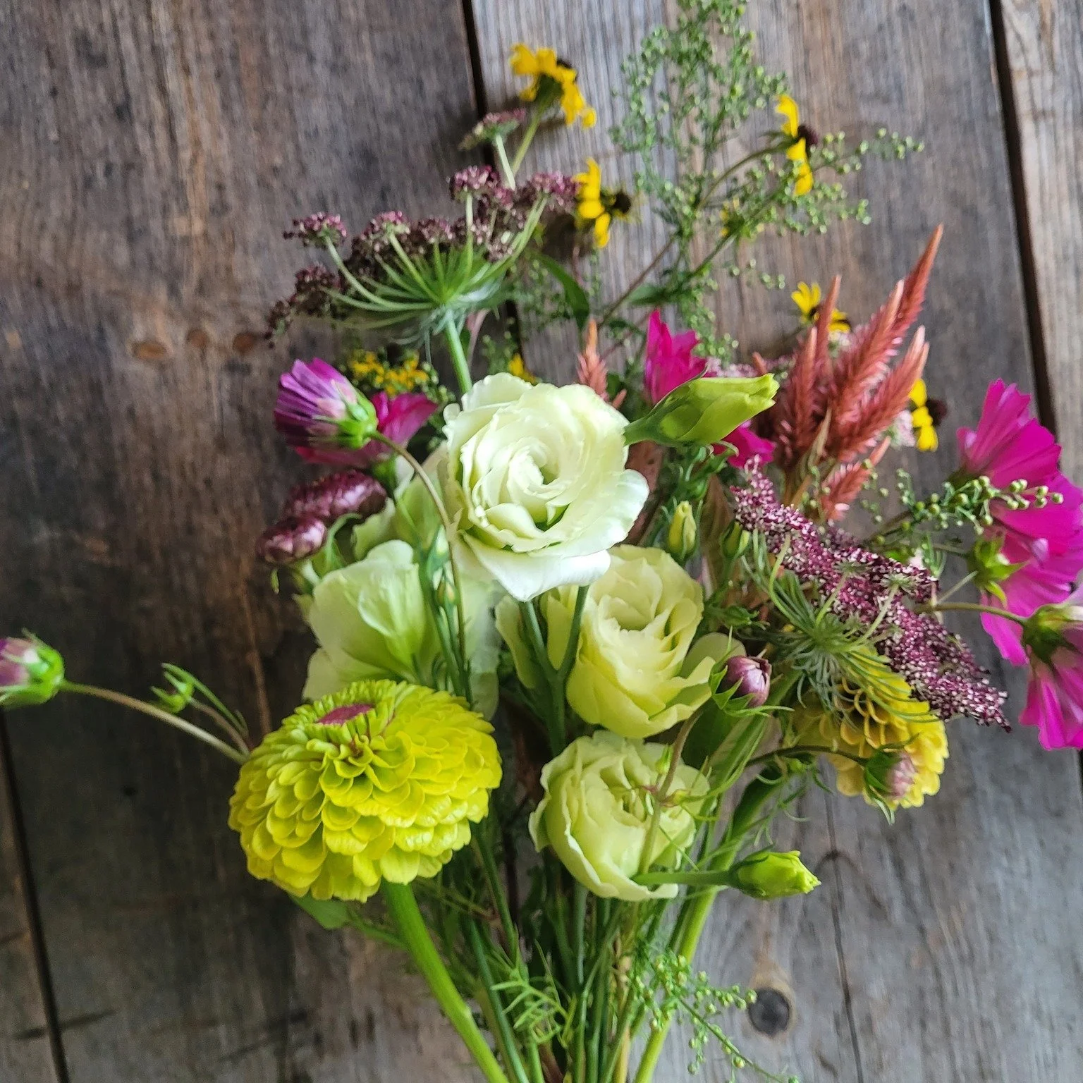 This year will mark my 5th year growing and selling beautiful, local flowers and I have some exciting things planned!

~ Spring subscriptions will feature all specialty tulips this year - get ready for fancy, double, and peony style blooms!
~ Summer 