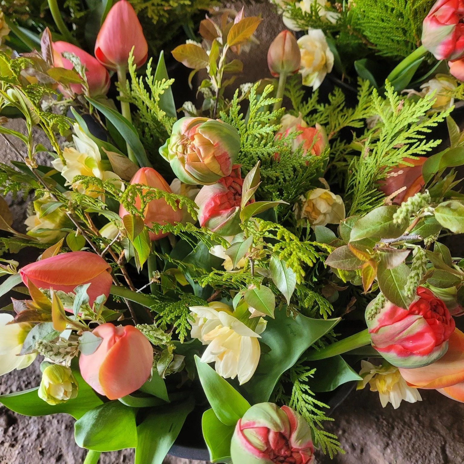 Spring subscriptions - 4 beautiful bouquets of daffodils, tulips, allium, and more!
Timing of the Spring subscription will be based on bloom time for daffodils and tulips in late April and May, with exact dates to be confirmed in the early spring. 
O