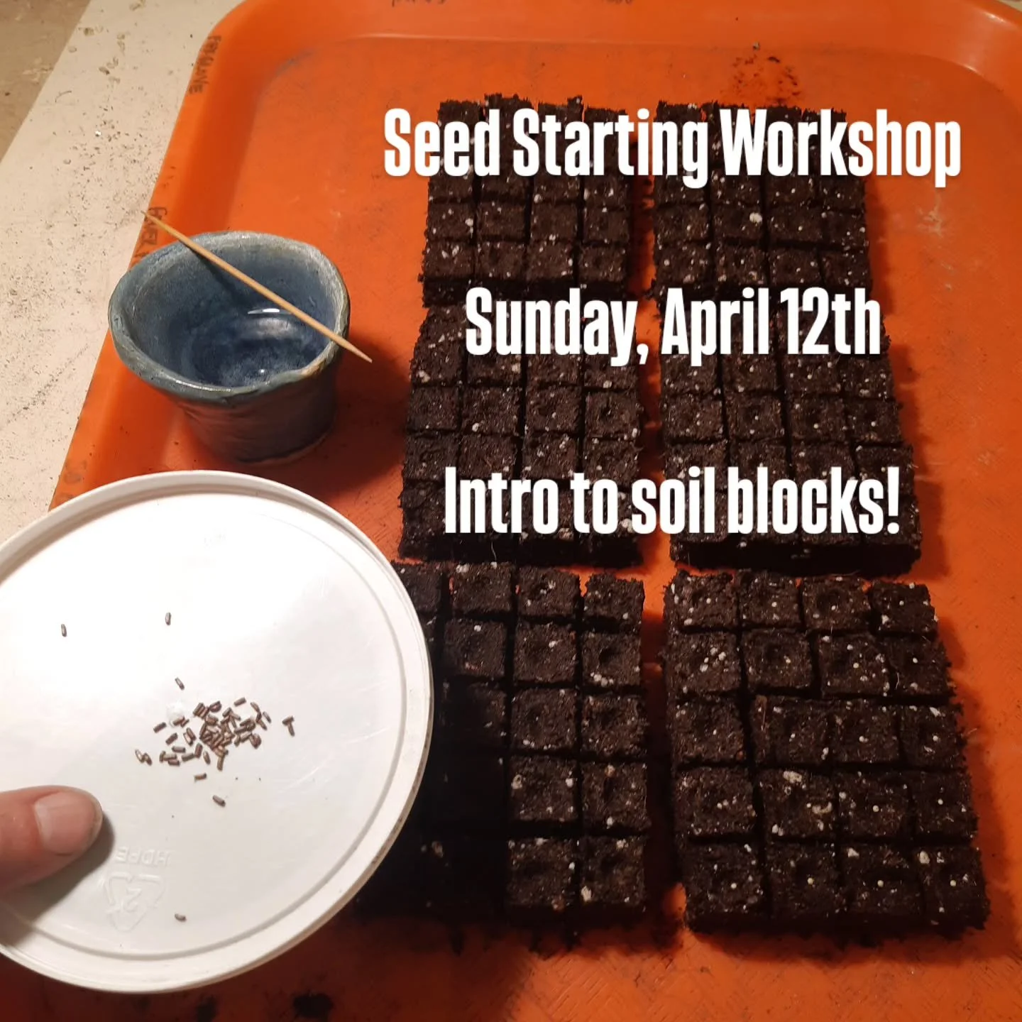 Soil blocks are an amazing way to start seeds and provide many advantages for the seedlings, including more space to grow, air-pruned roots, and lower transplant shock. Soil blocks are compressed blocks of planting medium that are formed using a mold